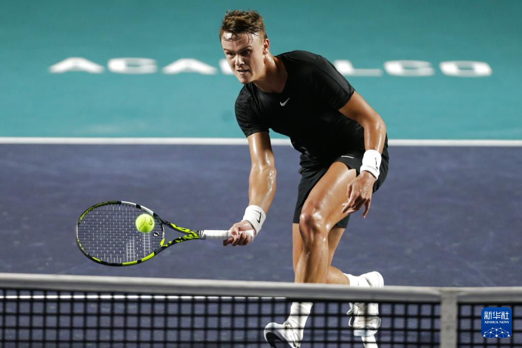 近年来的发 近年来的发