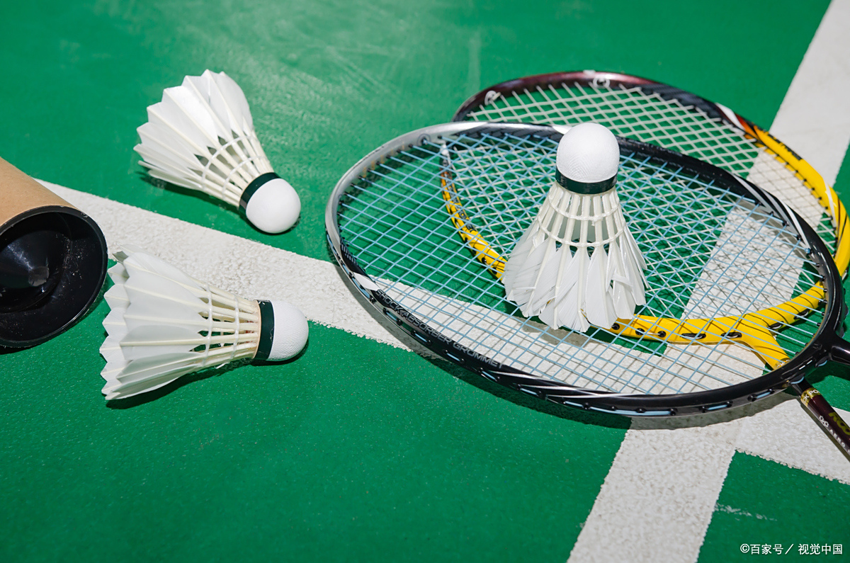 人的反扑 人的反扑