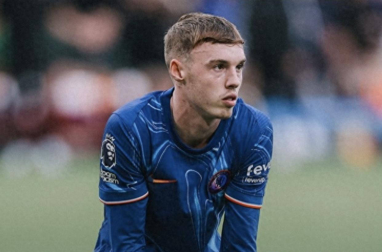 从品牌与公 从品牌与公